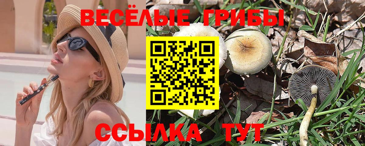 Псилоцибиновые грибы мухоморы Городец