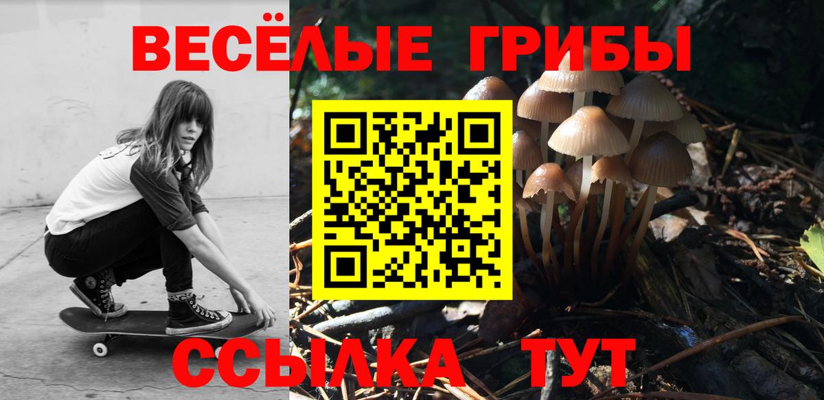 Городец  Псилоцибиновые грибы Psilocybine cubensis  Галлюциногенные грибы Psilocybe  где купить наркоту  Вход с VPN 